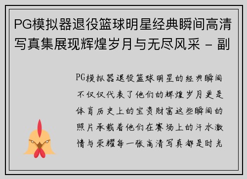 PG模拟器退役篮球明星经典瞬间高清写真集展现辉煌岁月与无尽风采 - 副本